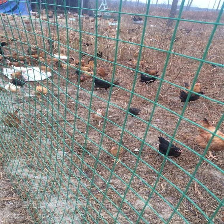 怀化养鸡棚浸塑围网A圈家禽方格铁丝网A迅鹰波浪型家畜养殖网